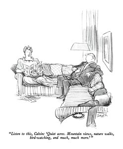 248x300 Brochure Drawings Fine Art America