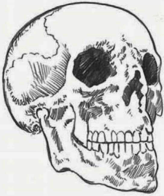 544x648 Drawings April 2014