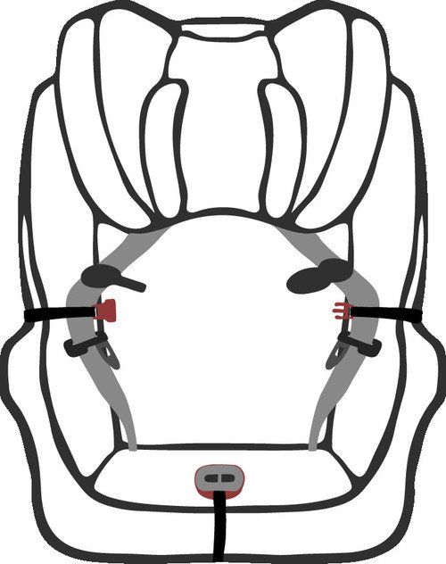 500x632 Buckle In Buddy