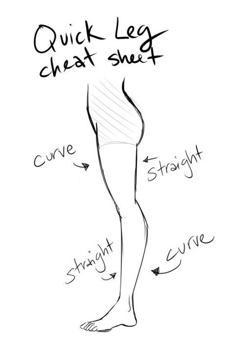 474x711 Legs. 17 Diagrams That Will Help You Draw (Almost) Anything Http