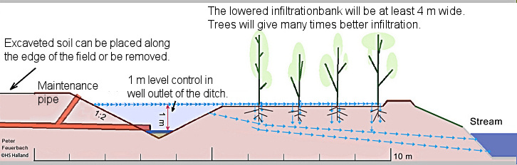 726x232 Wetlands Integrated Buffer Zones