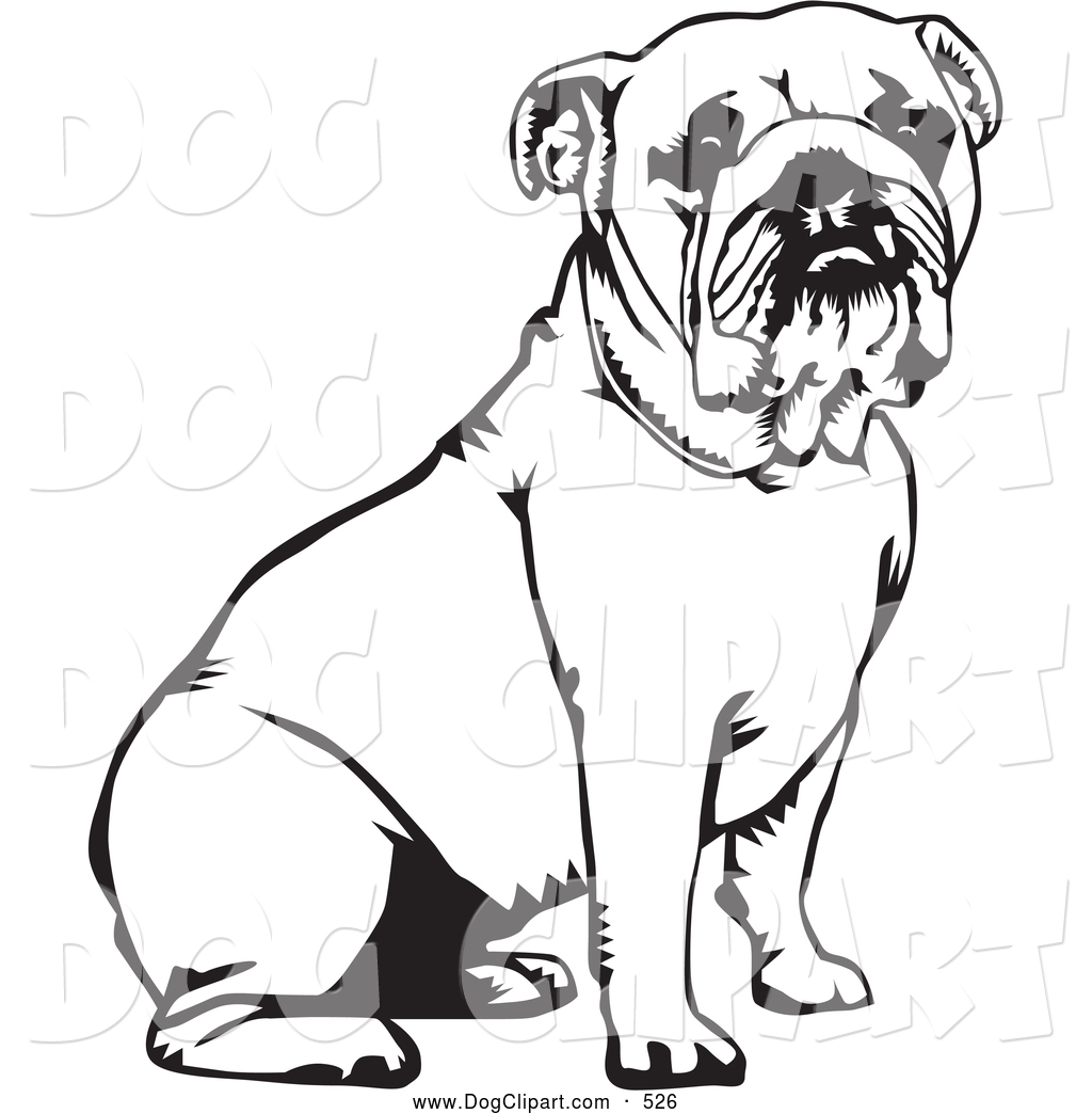 1024x1044 English Bulldog Clipart Angry