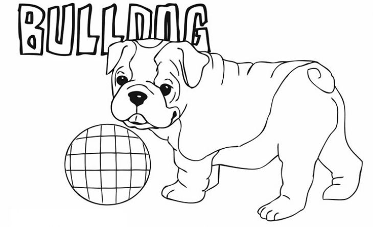 730x444 Puppy Bulldog Coloring Pages