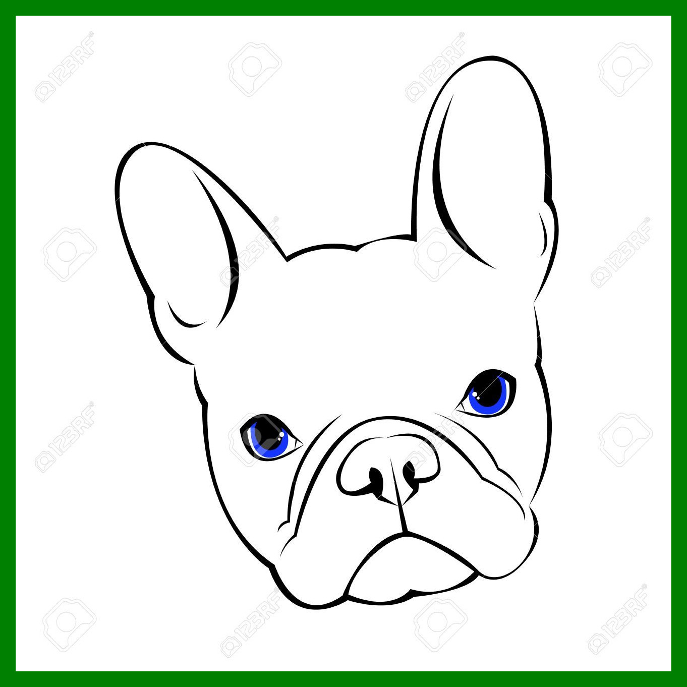 1362x1362 Amazing Bulldog Dog Animal French Vector Illustration Pet Breed