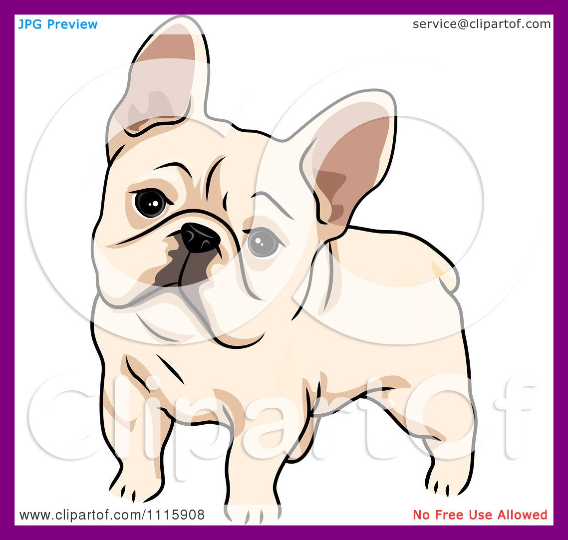 1138x1082 Inspiring Cute Cartoon French Bulldog Face Drawing Adorable Little