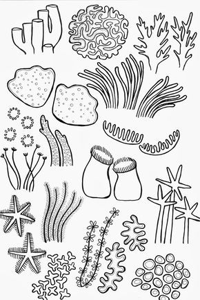 290x435 Drawing Underwater Coral Reef Fit Coral Reefs