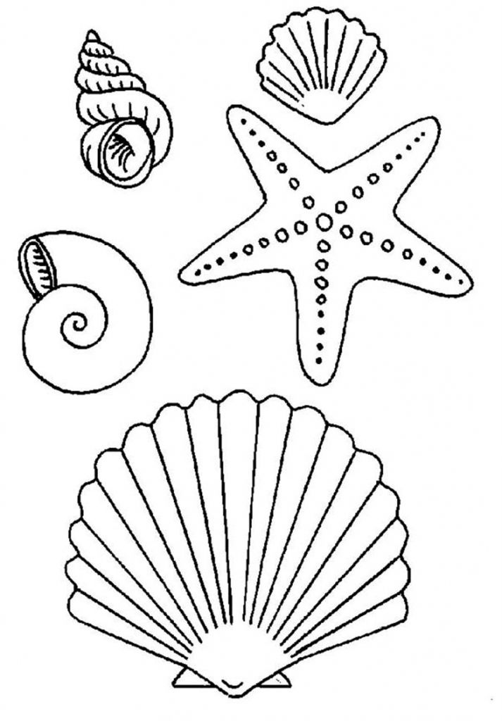 713x1024 Starfish Coloring Pages Crafty Stuff Starfish