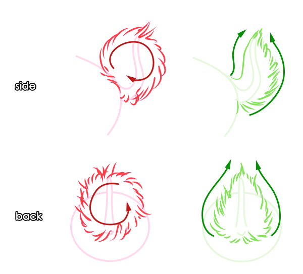 600x543 How To Draw Animals Hares And Rabbits