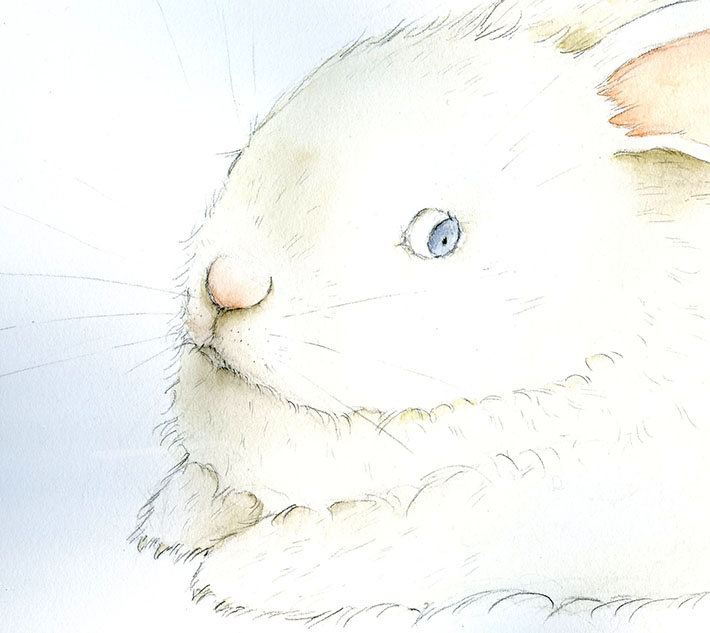 710x633 Learn How To Paint A Beautiful Bunny