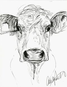 236x306 Line Drawing Of Butcher Cow