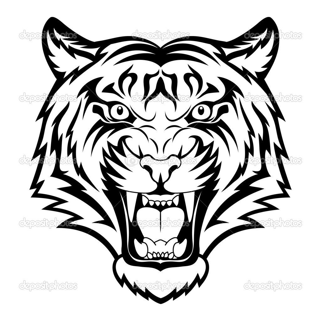 1024x1024 Sketch A Tiger Face White Tiger Drawings White Tiger Face