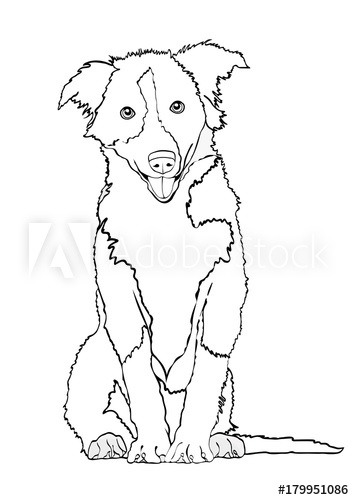 354x500 Dog Vector Outline Drawing, Sketch, Coloring Book. Black And White