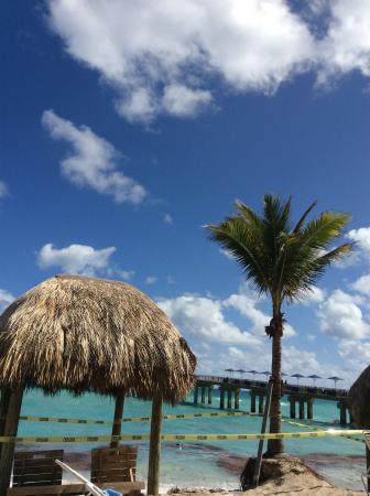 336x450 Tide Too High, Drawing In The Cabana Huts