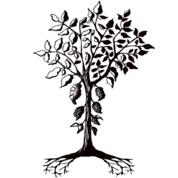 250x250 New York Times Portland, Ore. Cacao The Chocolate Maker's Studio