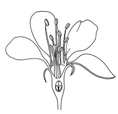 236x227 55.5.gif Pollinators Project