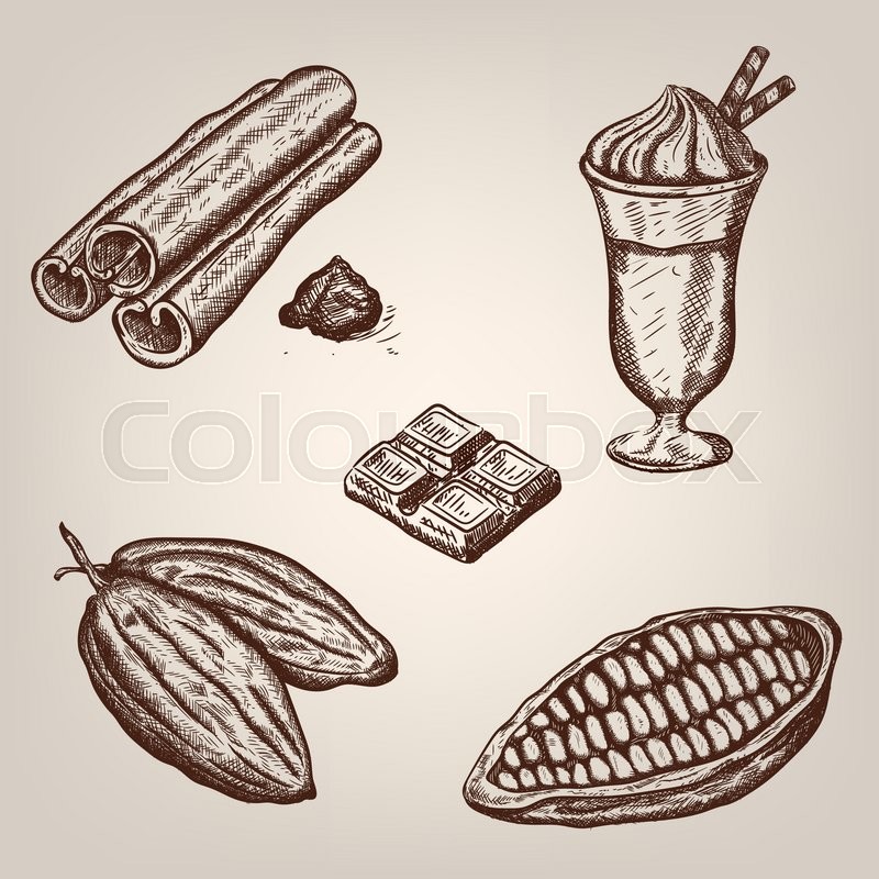 800x800 Hand Drawing Illustration Of Cacao Beans, Chocolate, Cup Of Hot