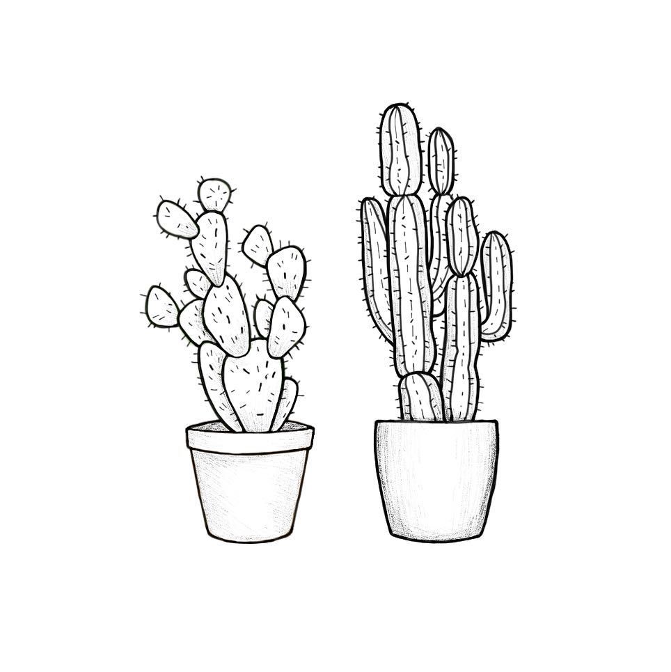 964x965 Pin By Joanna Stubbs On Design Ideas Cacti, Doodles