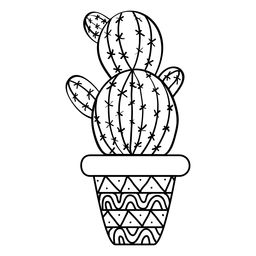 256x256 The 355 Best Cactus And Succulents Images