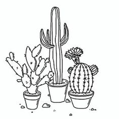 236x236 Black And White Cactus Drawing Cacti Drawing Tumblr Calling