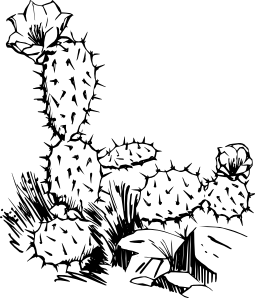 255x298 Cactus Clip Art