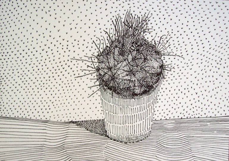770x543 Saatchi Art Cactus Drawing By Tamara Zderic