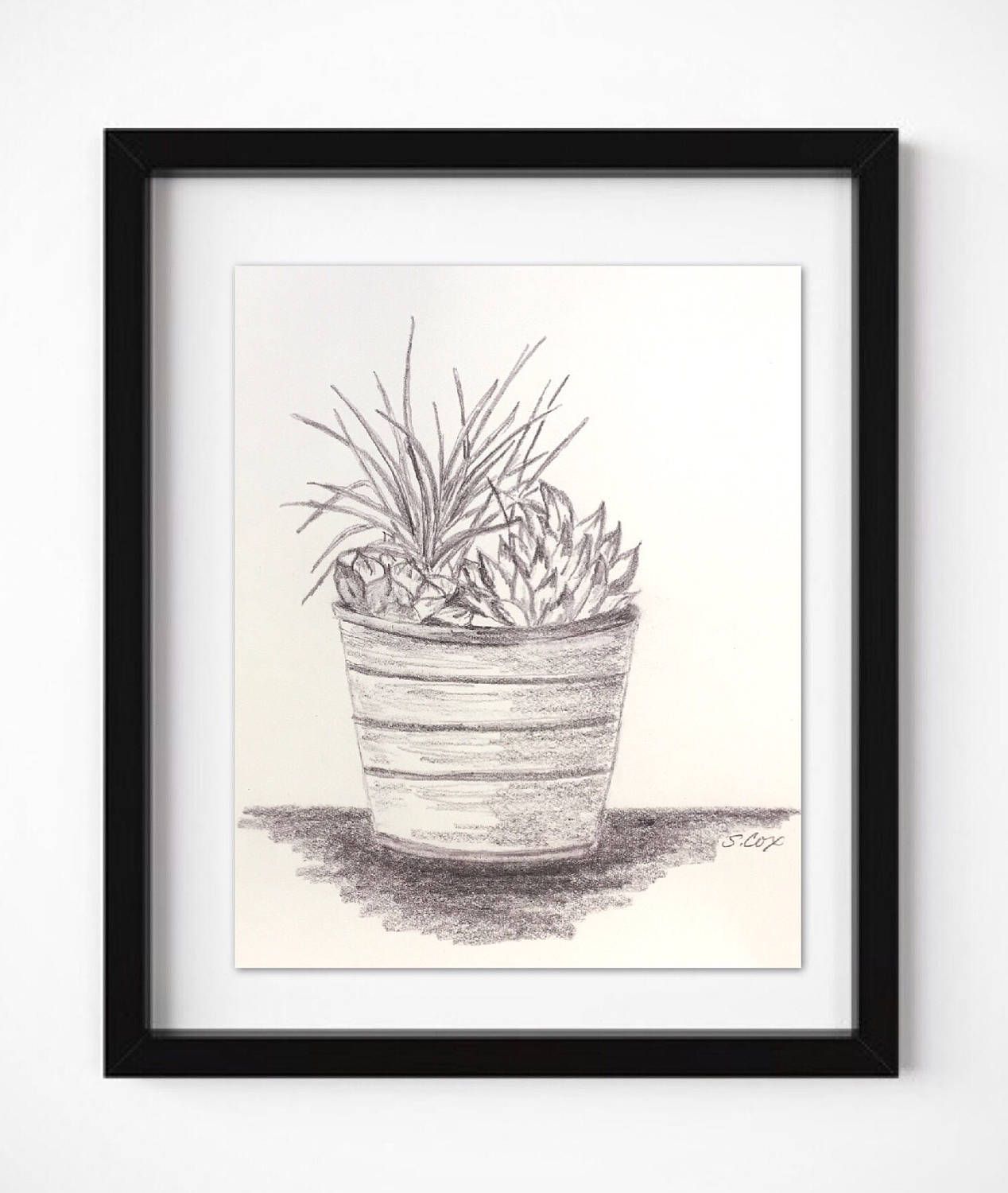 1268x1500 Succulent Art, Original Pencil Drawing, Kitchen Art, Still Life