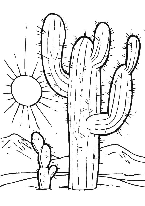 600x852 Desert Sunset Coloring Pages Cactus