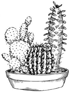236x310 How To Draw A Saguaro Cactus Step By Step Drawing Tutorials