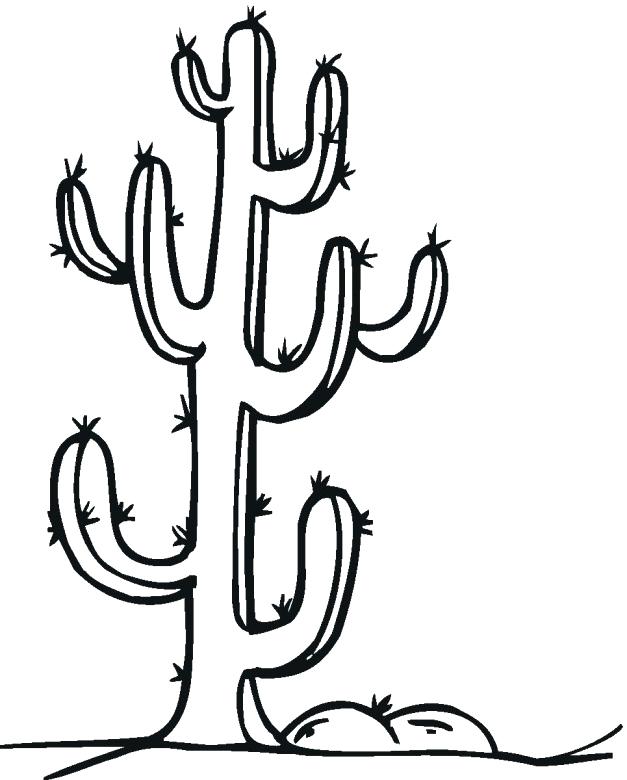 627x780 Cactus Coloring Book Pages Best Succulent Cactus Coloring Books