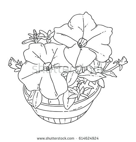 450x470 Cactus Flower Coloring Page Cactus Flower Coloring Pages 4