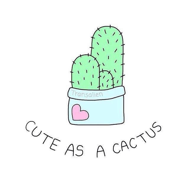 640x640 Pin By On Cacti