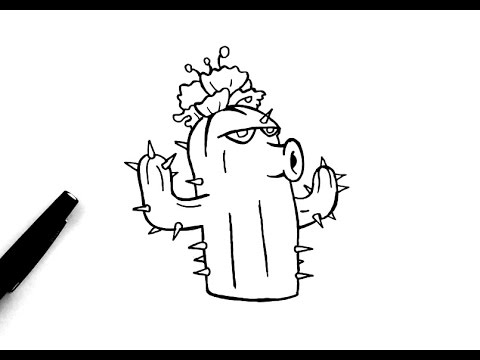 480x360 Comment Dessiner Le Cactus