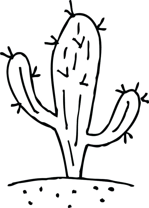 600x839 Desert Cactus Coloring Pages Cactus And Desert Lizard Coloring