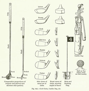 294x300 Golf Caddy Drawings Fine Art America