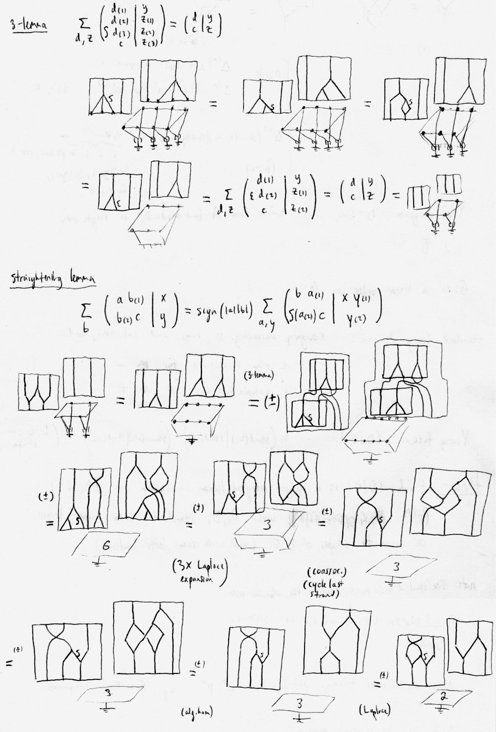 1000x1476 Illustrationofstraighteninglem