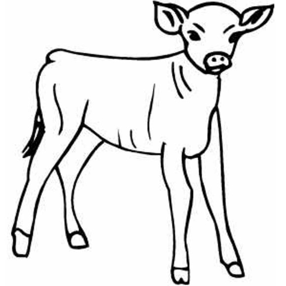 580x580 Farm Animal Drawings Clipartsco, Free Calf Farm Animal Coloring