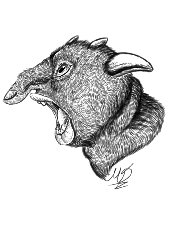 720x934 A Boskus Calf Sketch By Masterdaye