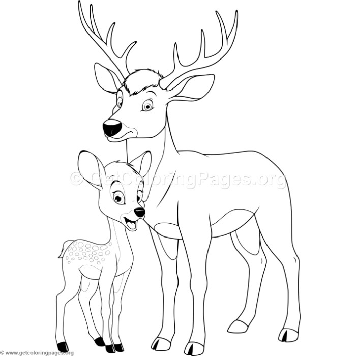 700x700 Mother Reindeer And Calf Coloring Pages