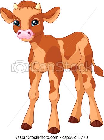 349x470 Calf. Young Calf On White Background.