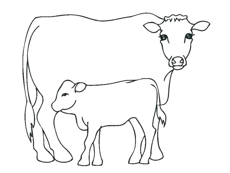 765x574 Coloring Page Cow Calf Coloring Pages Cow Coloring Page Free