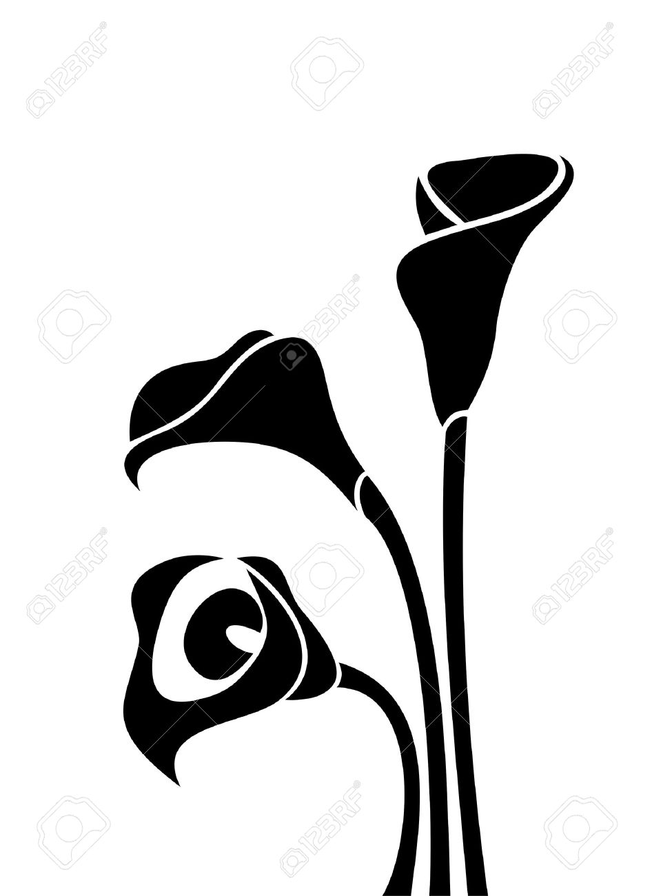 975x1300 Calla Lily Drawing Outline Floral Delivery Black Silhouettes