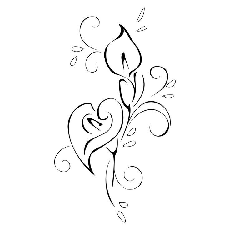 736x736 Lily Outline Design For Tattoo Always Outlines