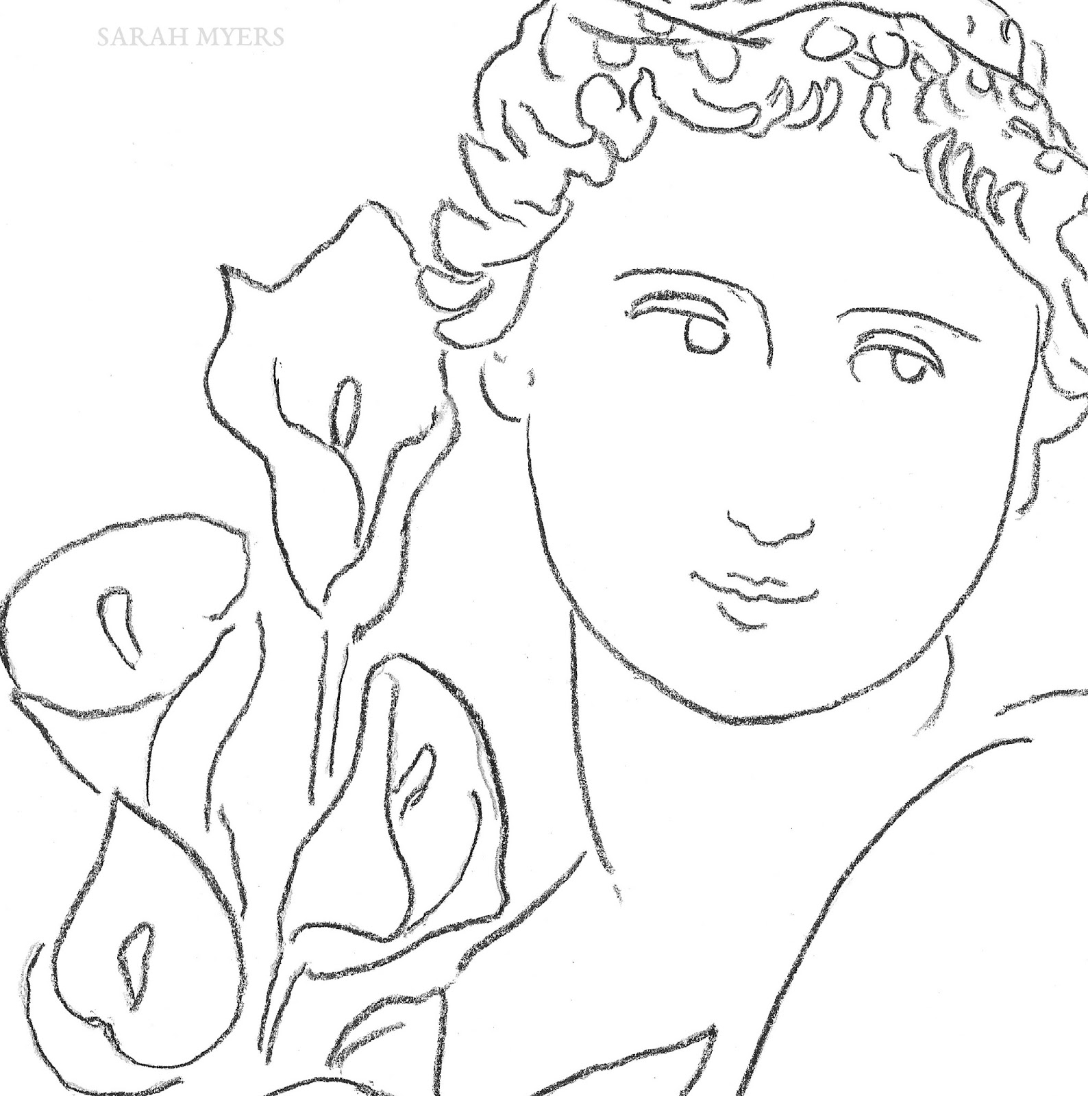 1588x1600 The Other Oeuvre Calla Lilies