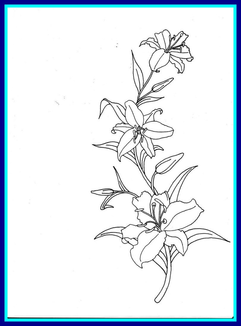 Calla Lily Drawing Outline at GetDrawings | Free download