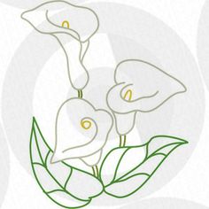 236x236 Clip Art Drawings Calla Lilies Line Art