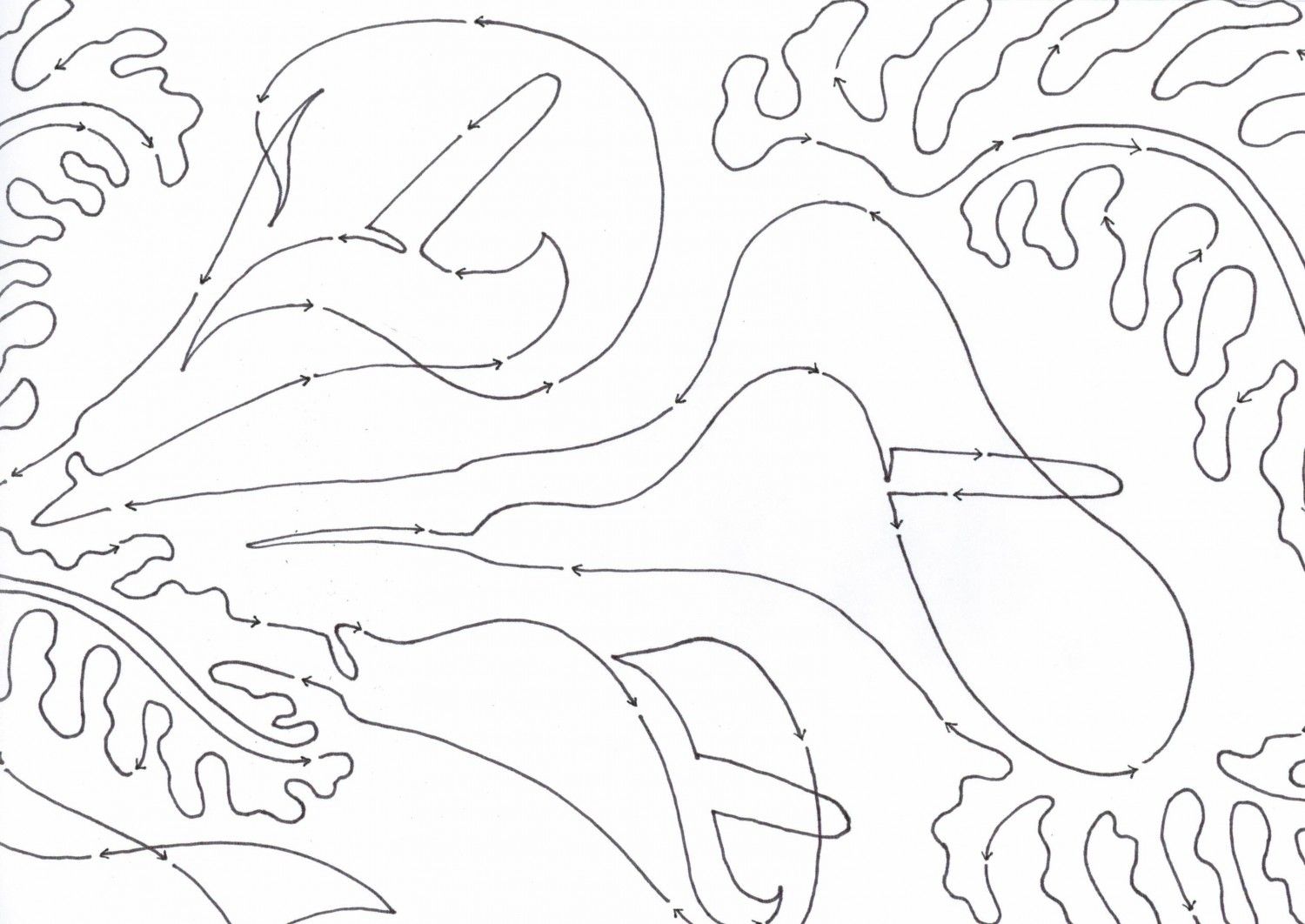 1500x1062 Calla Lily Border Lily Calla Lilies And Patterns