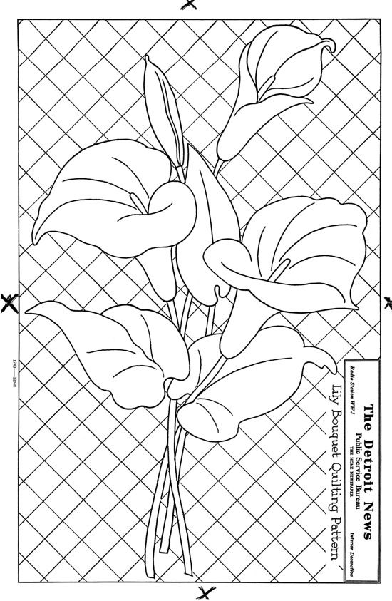 550x843 67 Best Calla Patterns Images On Calla Lilies, Drawing