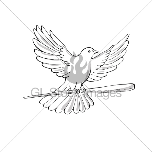 500x500 Pigeon Or Dove Flying With Cane Drawing Gl Stock Images