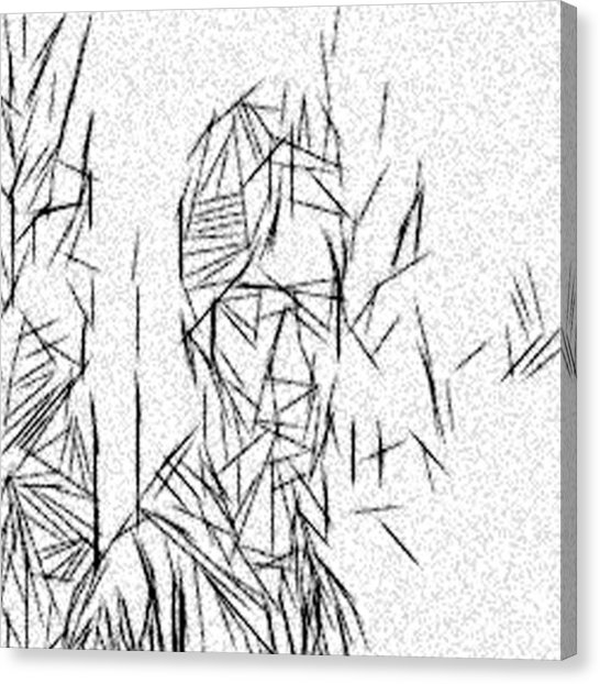 546x622 Freehand Drawing Canvas Prints