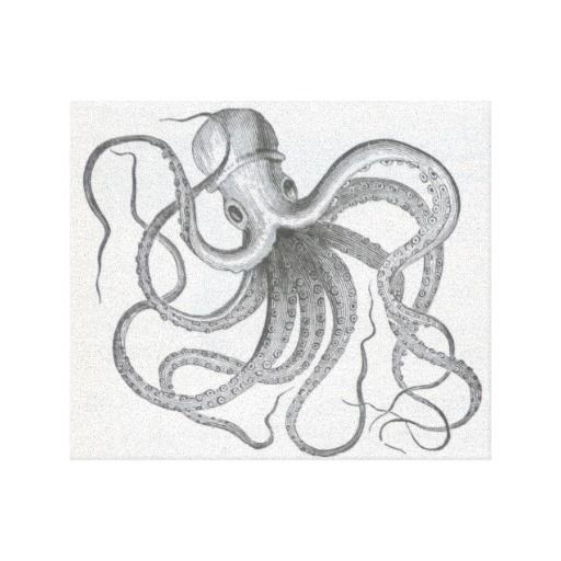 512x512 Nautical Steampunk Octopus Vintage Book Drawing Canvas Prints